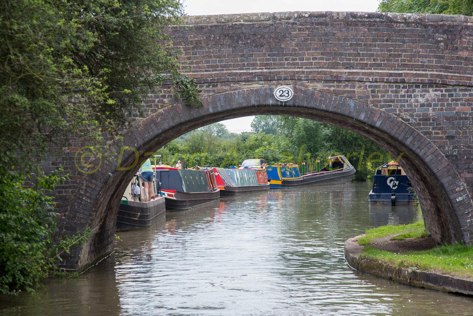 Ashby_De_La_Zouch_Canal-079.jpg