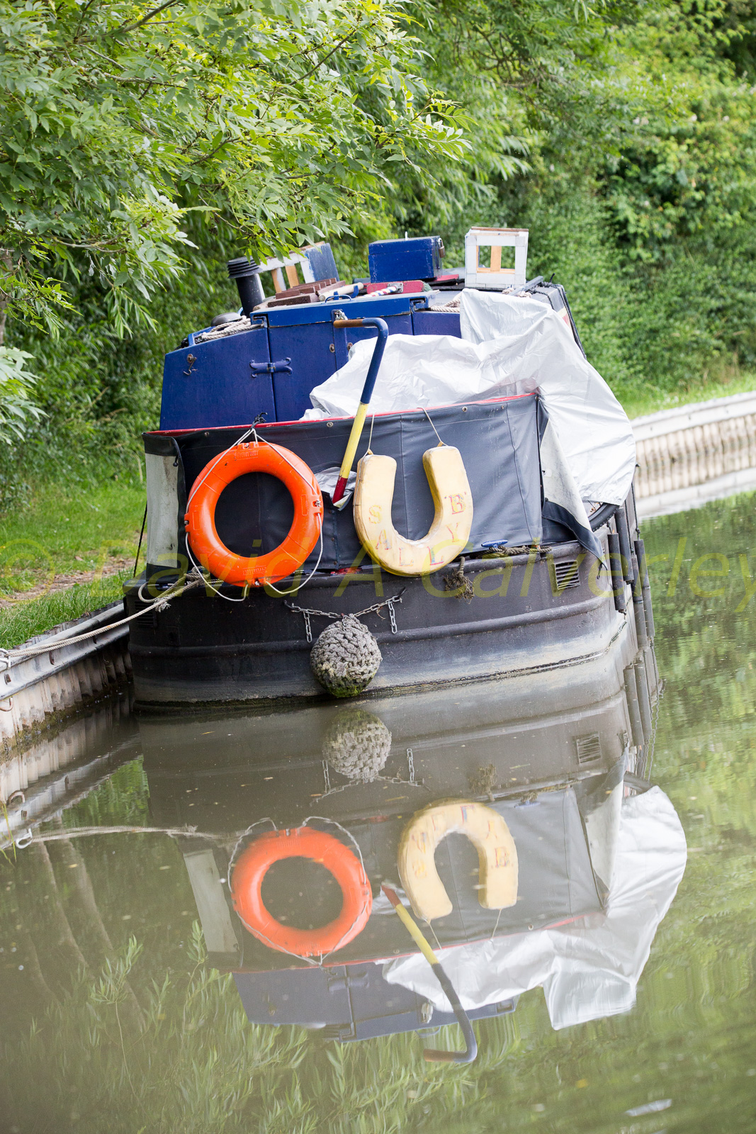 Ashby_De_La_Zouch_Canal-083.jpg
