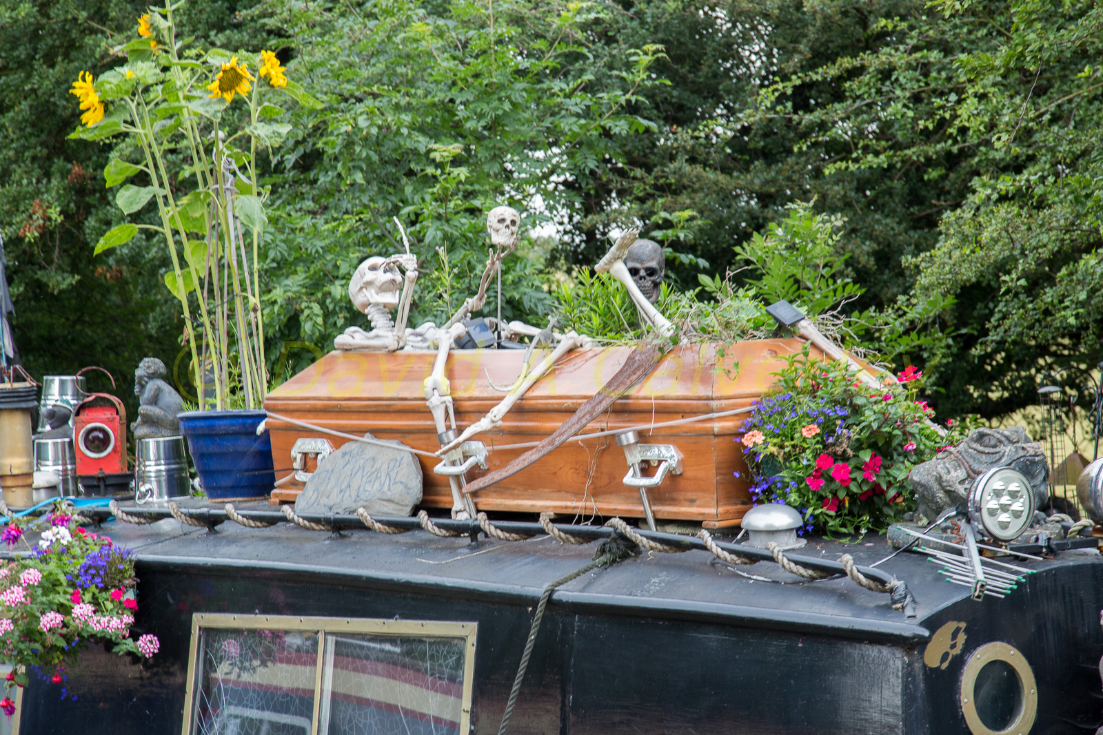 Ashby_De_La_Zouch_Canal-087.jpg