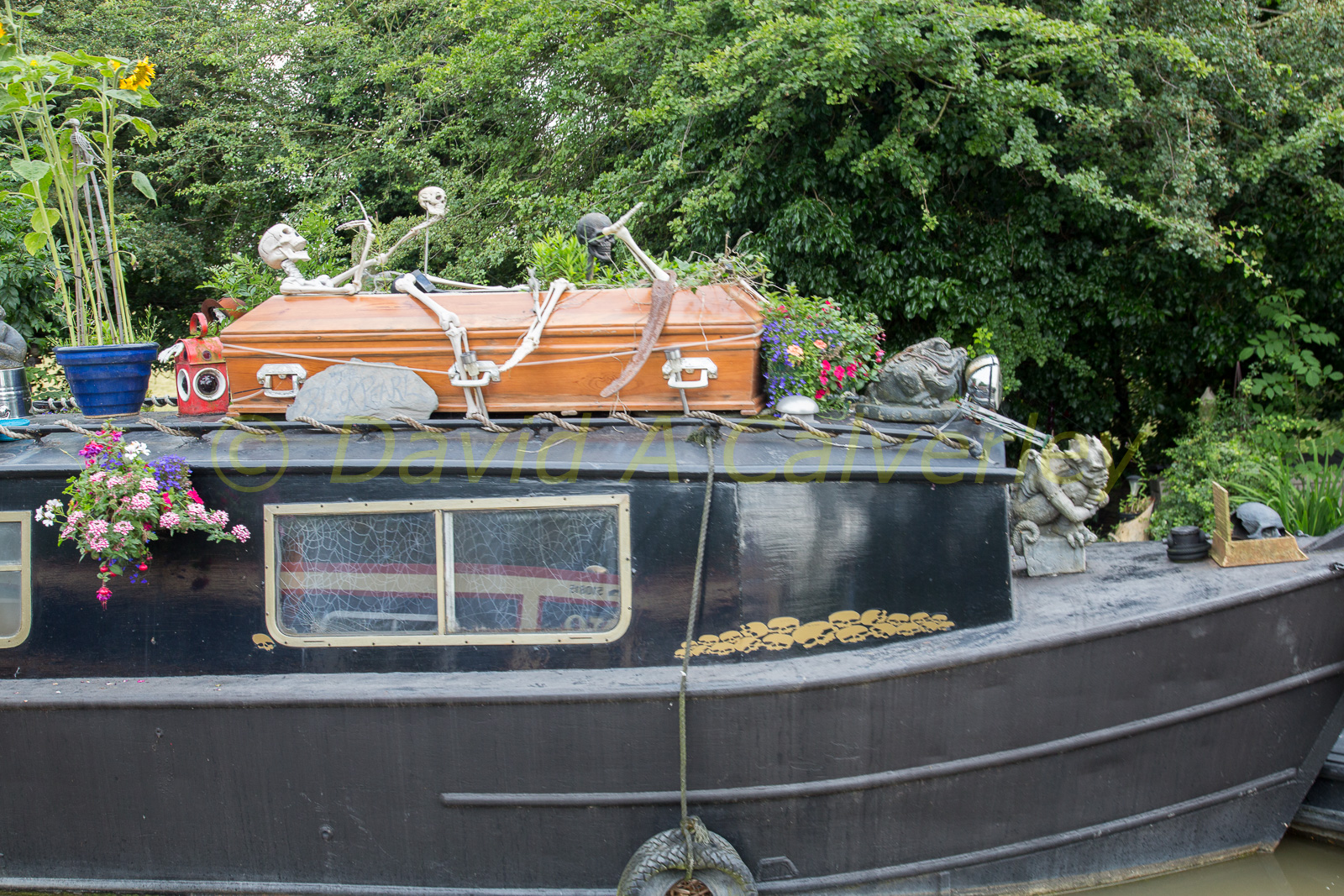 Ashby_De_La_Zouch_Canal-088.jpg