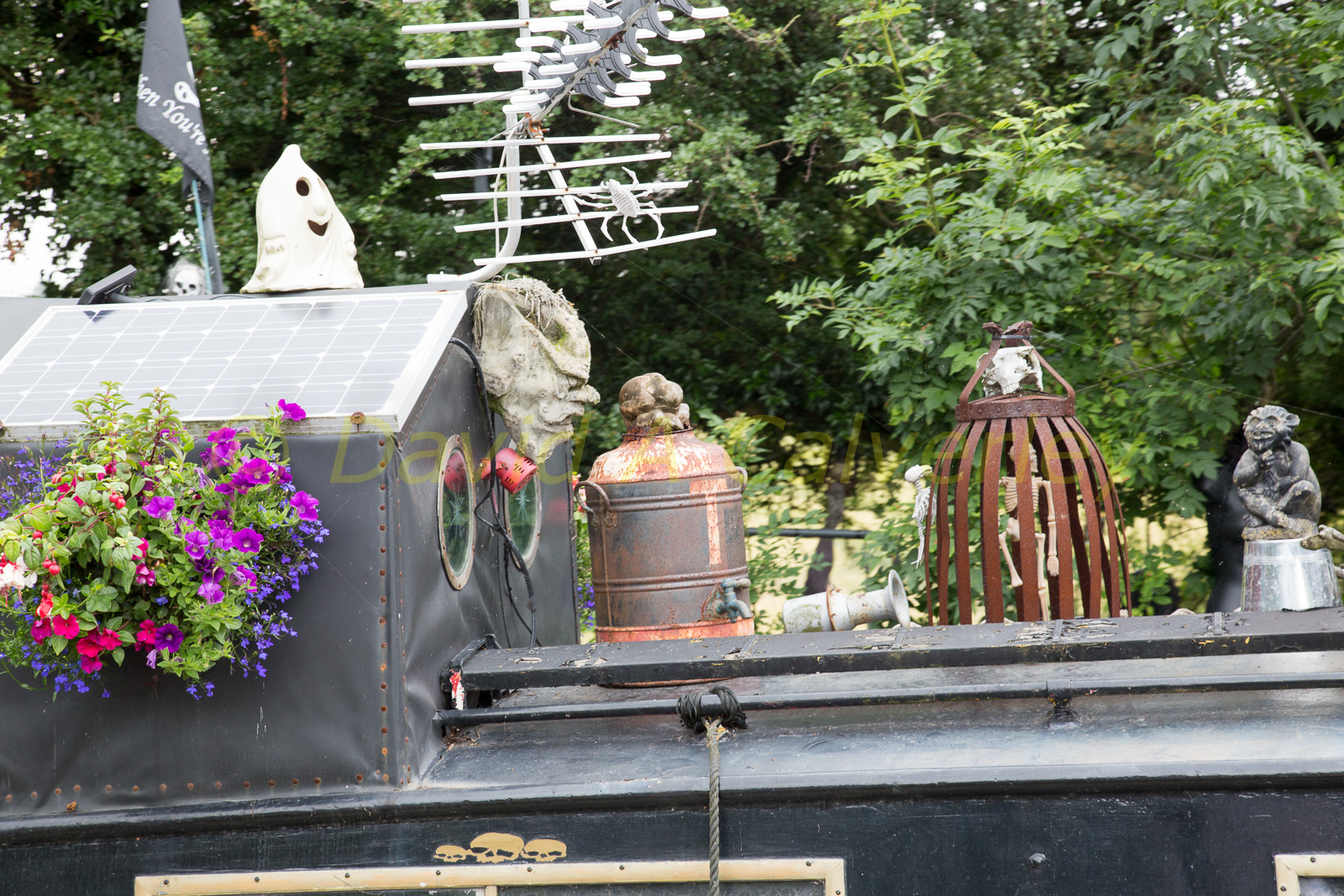 Ashby_De_La_Zouch_Canal-090.jpg