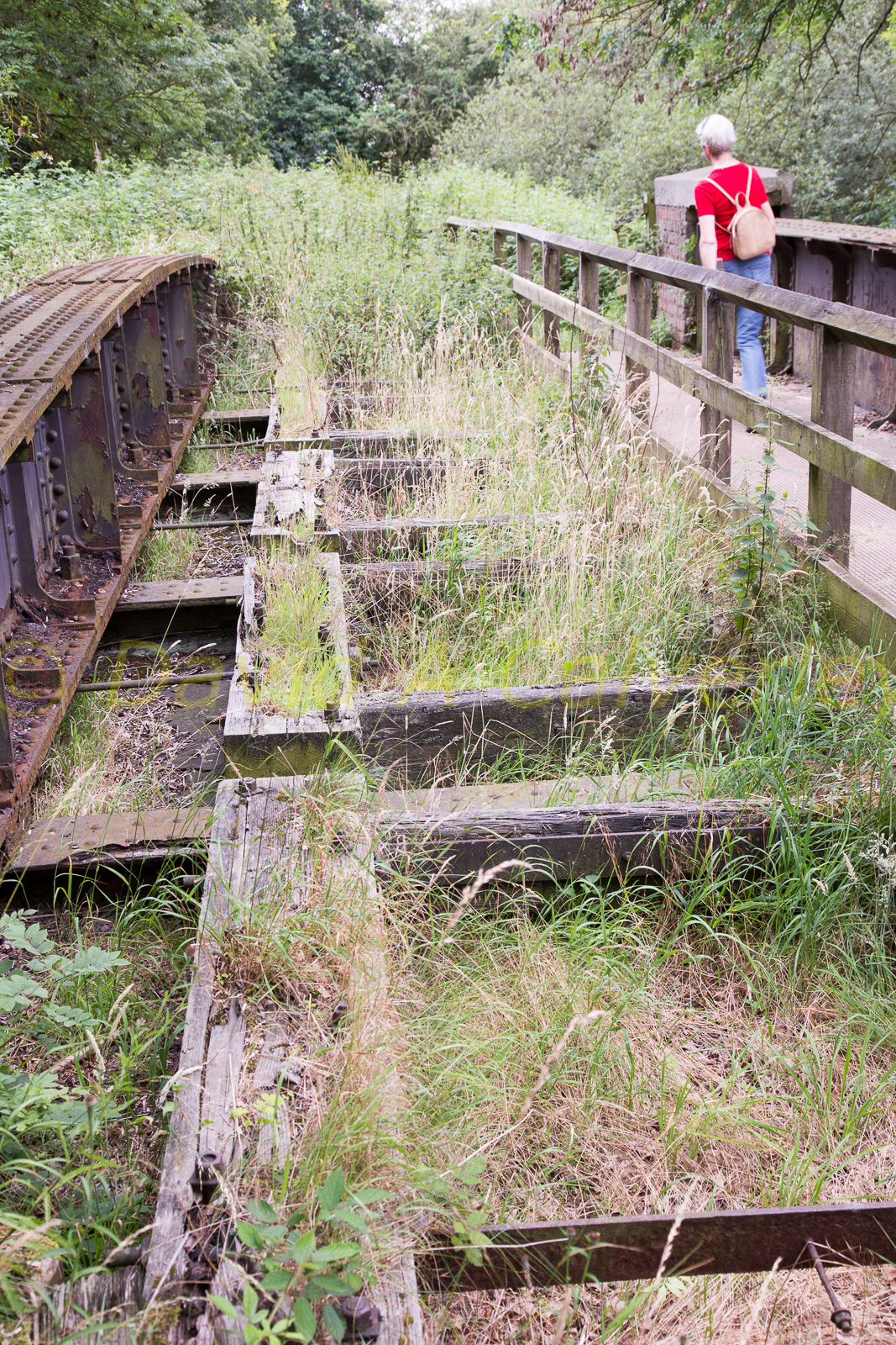 Ashby_De_La_Zouch_Canal-126.jpg