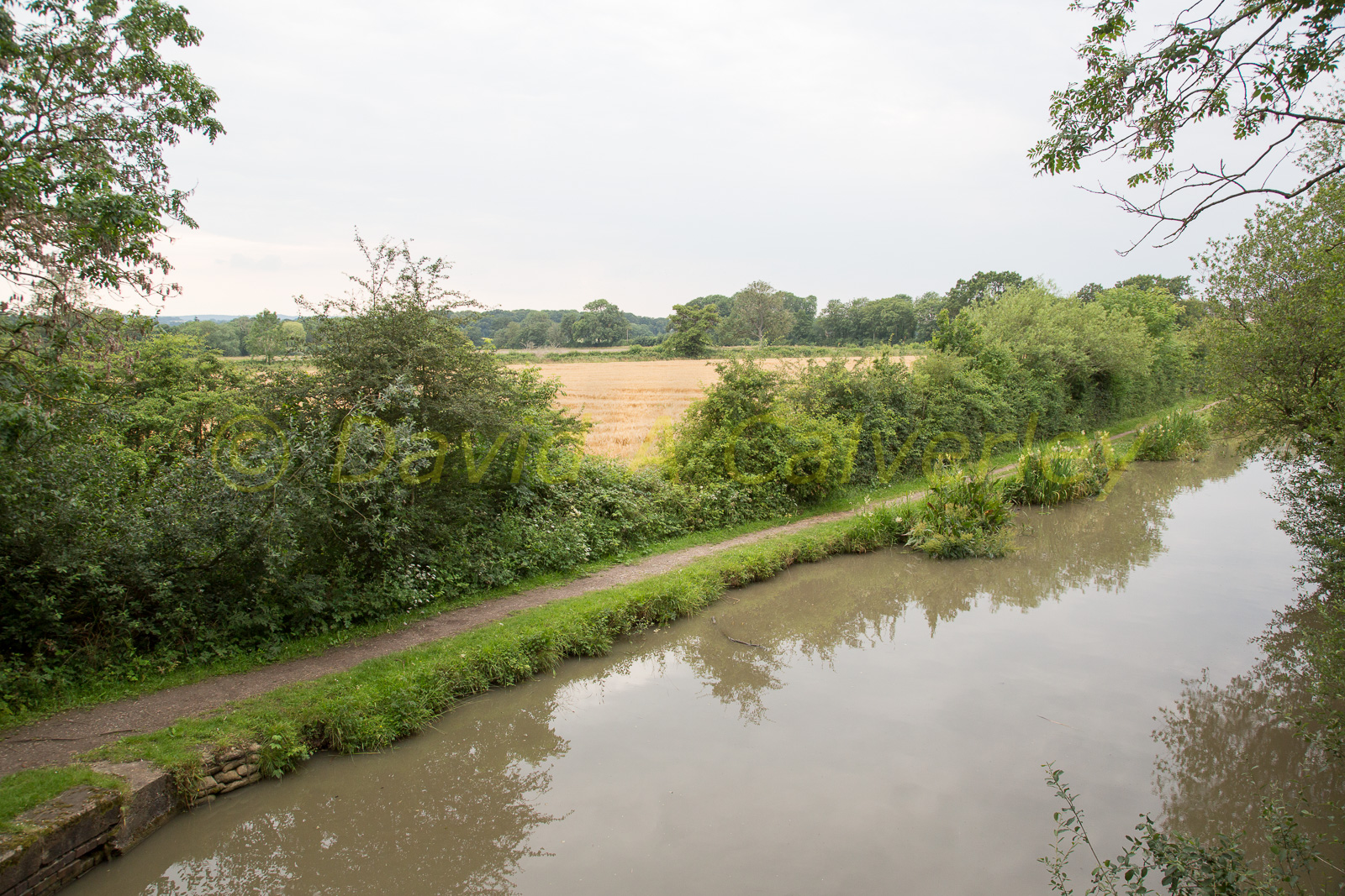 Ashby_De_La_Zouch_Canal-128.jpg
