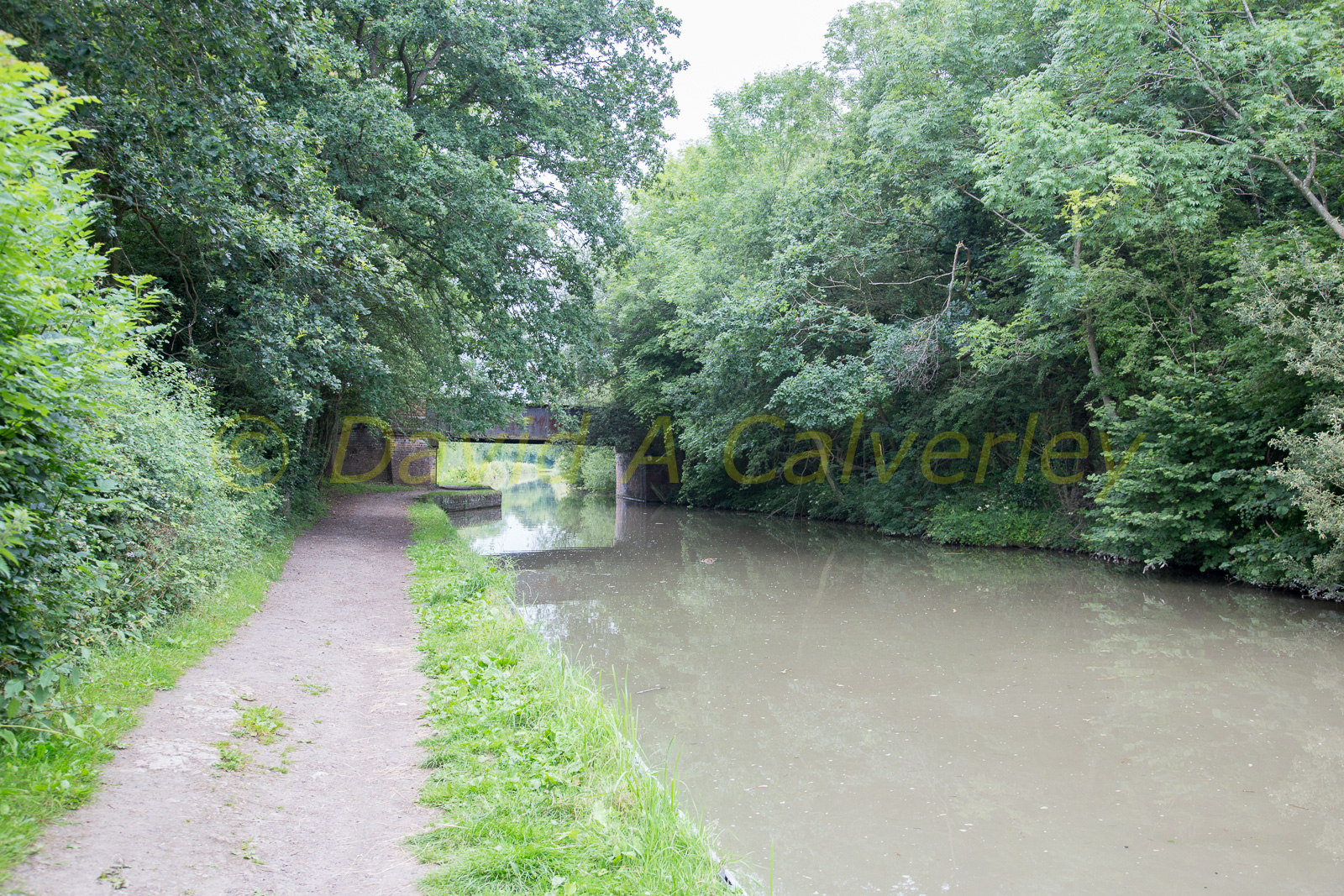 Ashby_De_La_Zouch_Canal-130.jpg