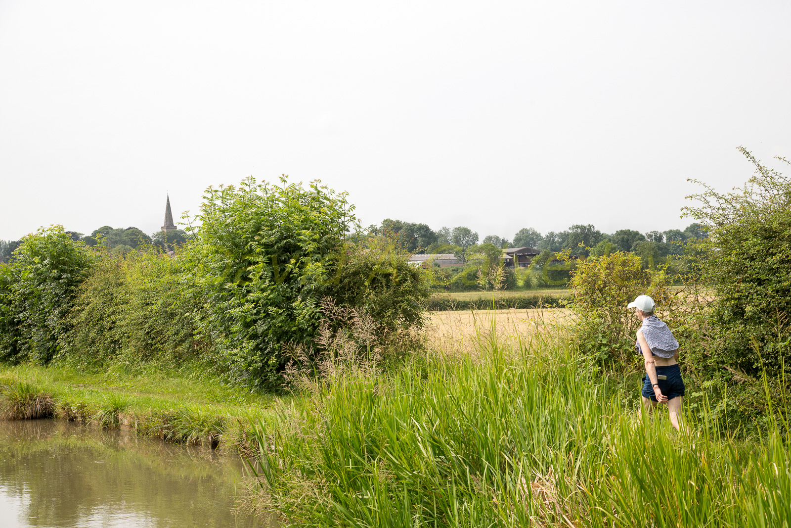 Ashby_De_La_Zouch_Canal-154.jpg