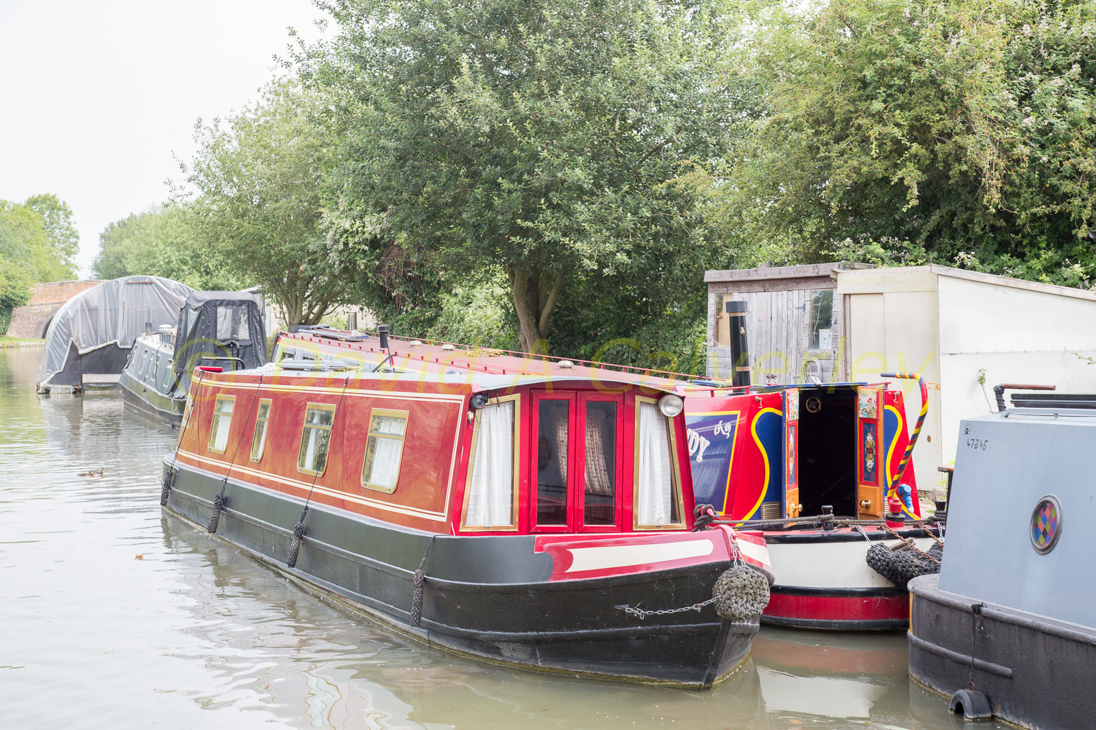 Ashby_De_La_Zouch_Canal-160.jpg