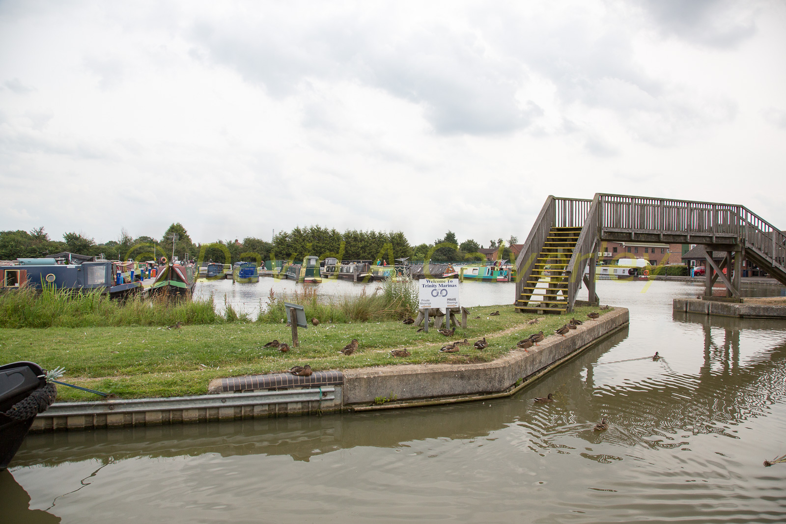 Ashby_De_La_Zouch_Canal-175.jpg