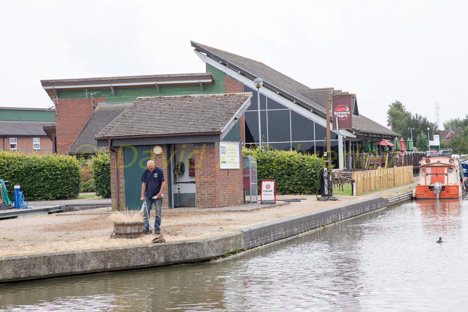 Ashby_De_La_Zouch_Canal-176.jpg