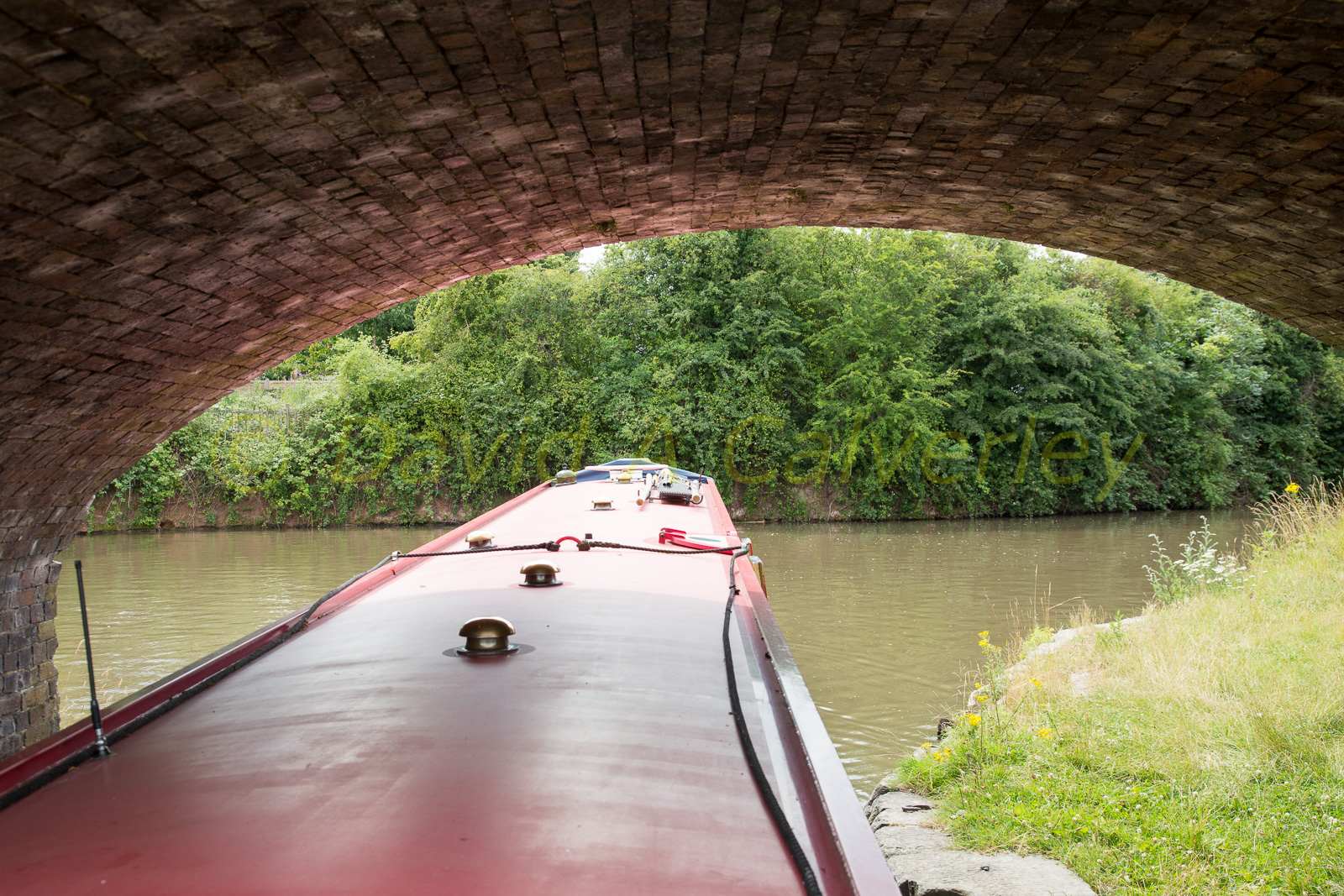 Ashby_De_La_Zouch_Canal-193.jpg