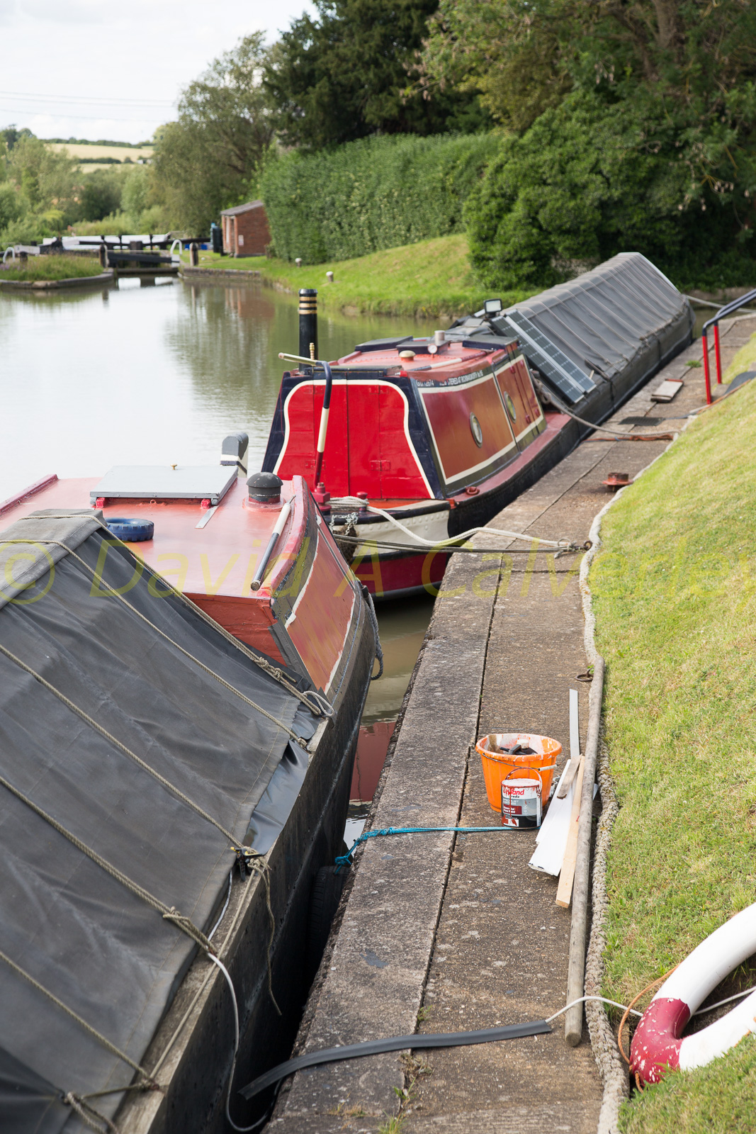 Oxford_Canal_North-1446.jpg