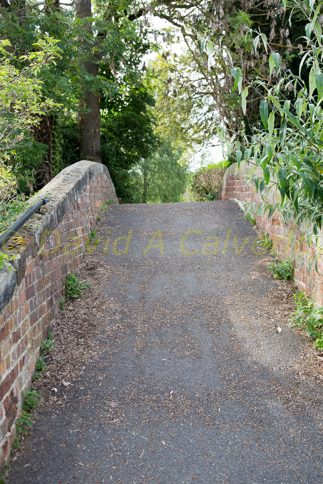 Oxford_Canal_North-1449.jpg