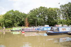 Ashby_De_La_Zouch_Canal-075.jpg