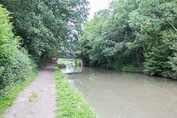 Ashby_De_La_Zouch_Canal-130.jpg