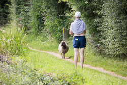 2019_July_Leicestershire_Ring_4