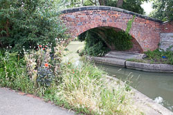 Oxford_Canal_North-1453.jpg