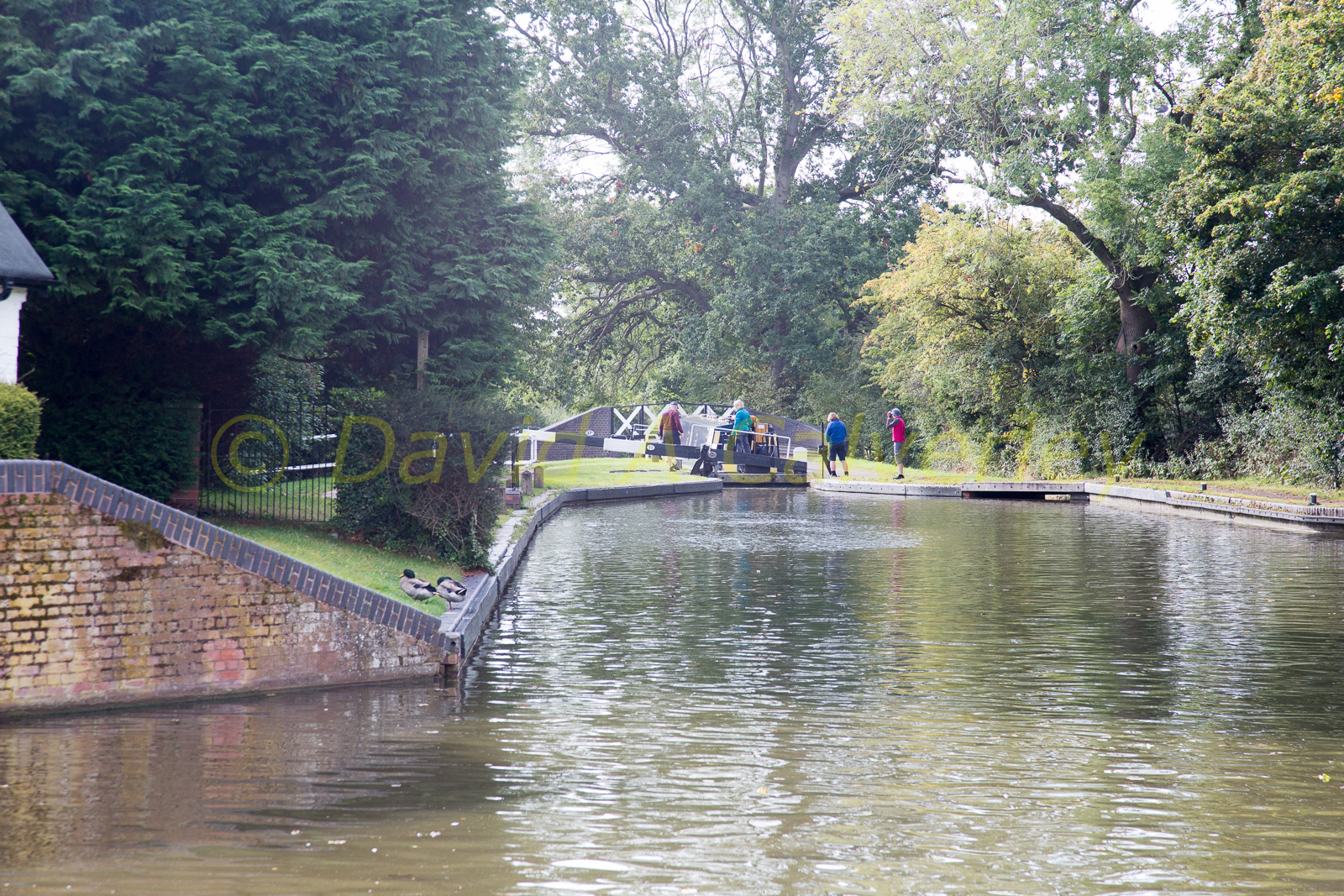 Stratford_Upon_Avon_Canal-3012.jpg