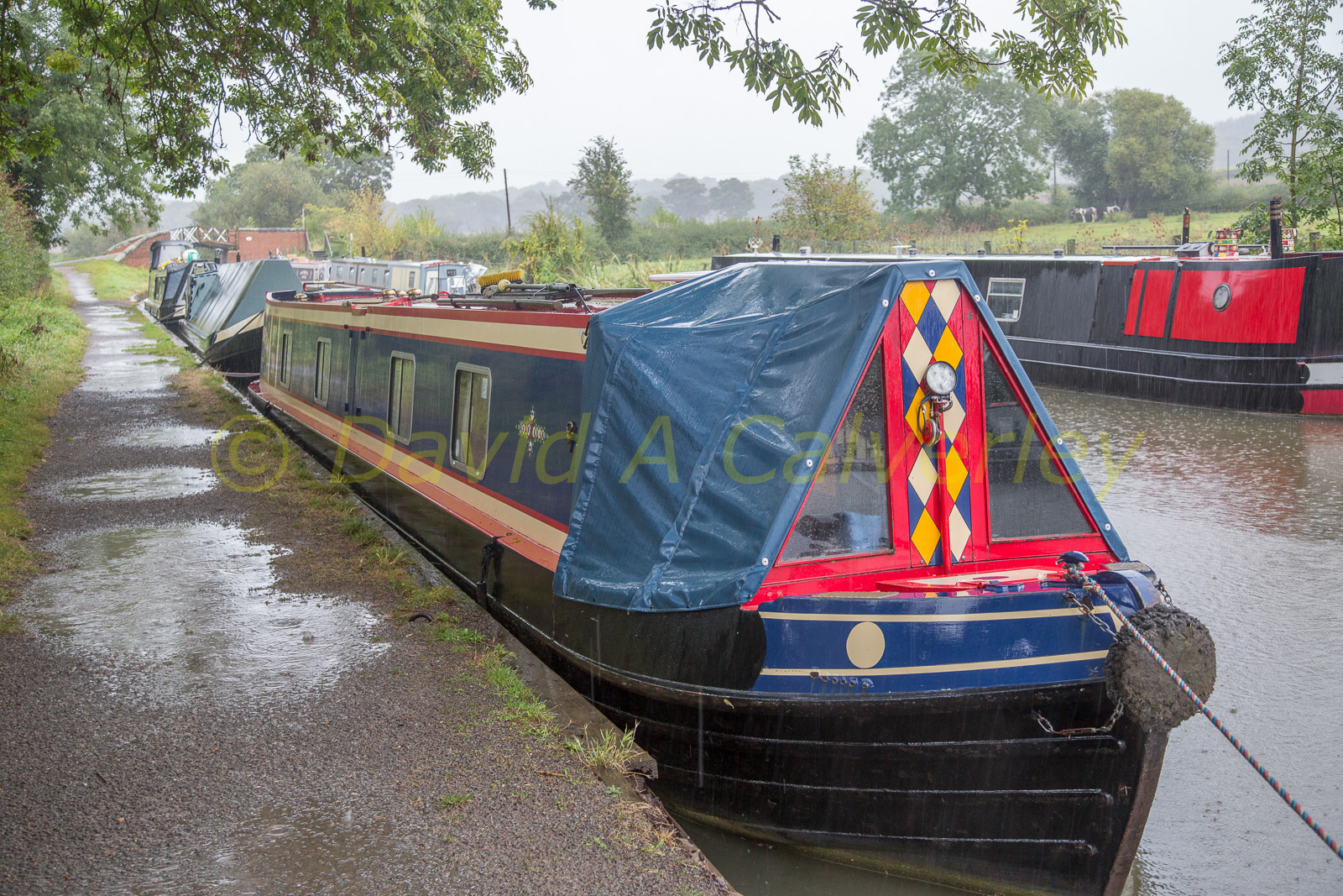 Stratford_Upon_Avon_Canal-3054.jpg