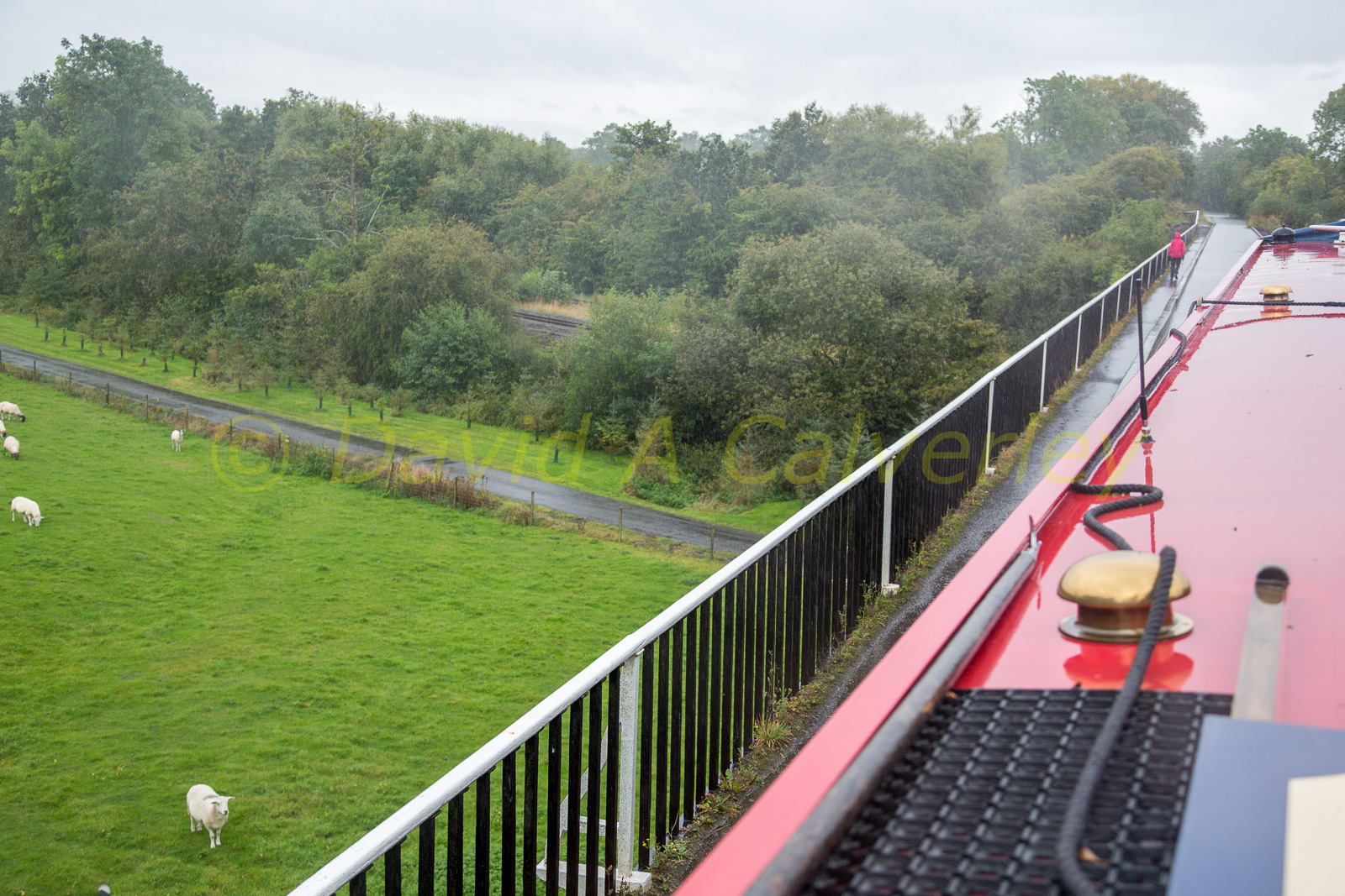 Stratford_Upon_Avon_Canal-3064.jpg