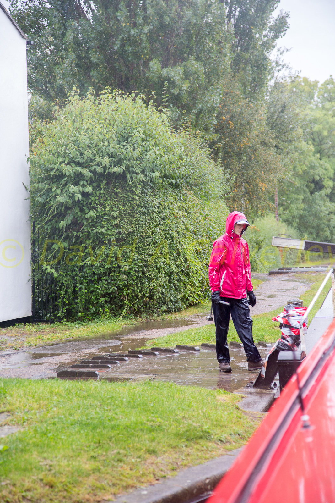 Stratford_Upon_Avon_Canal-3068.jpg