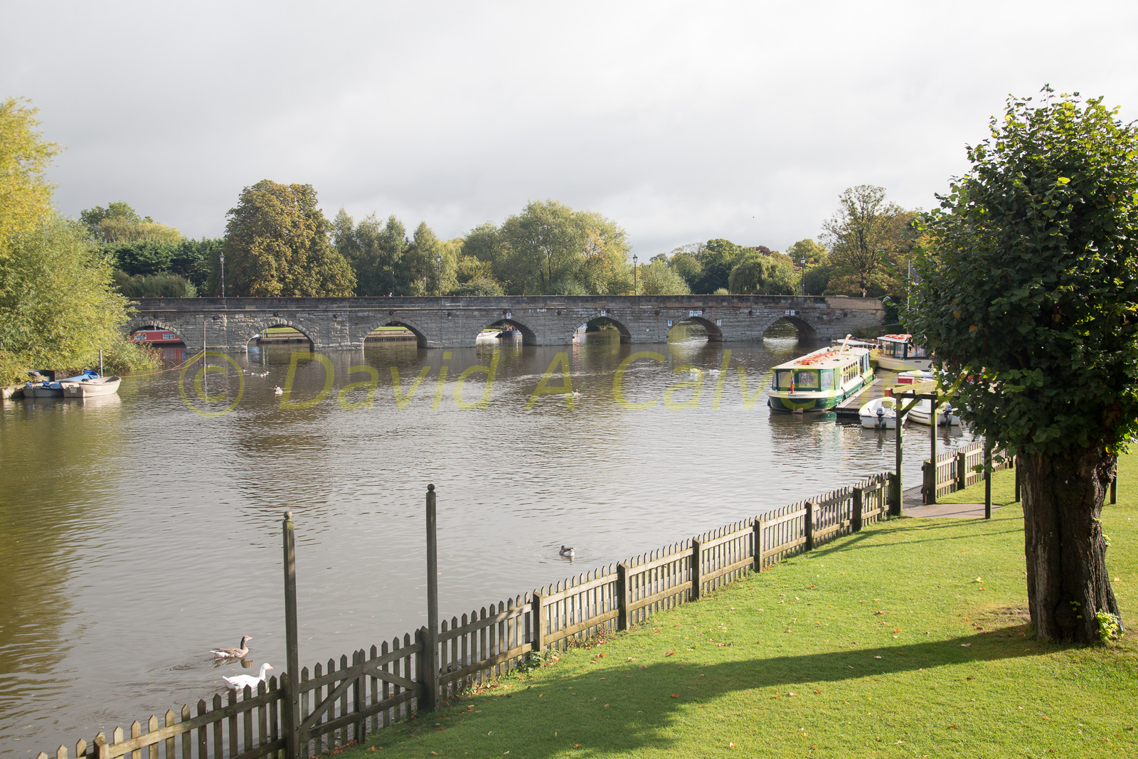 Stratford_Upon_Avon_Canal-3084.jpg