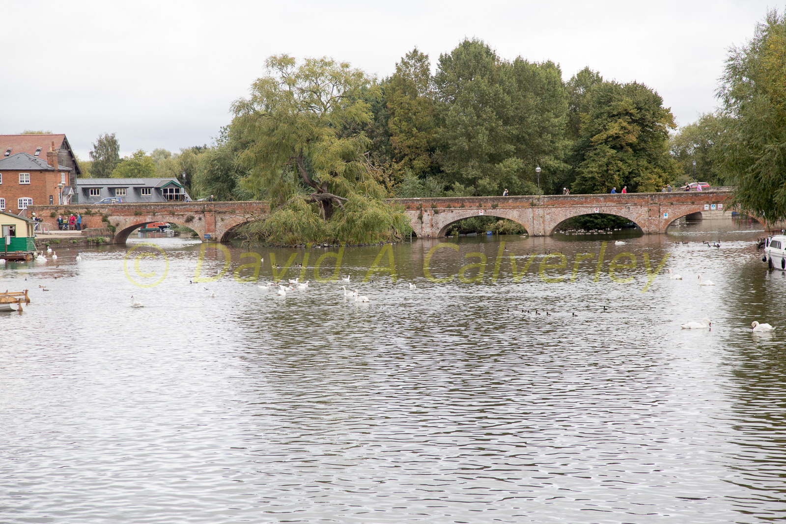 Stratford_Upon_Avon_Canal-3086.jpg