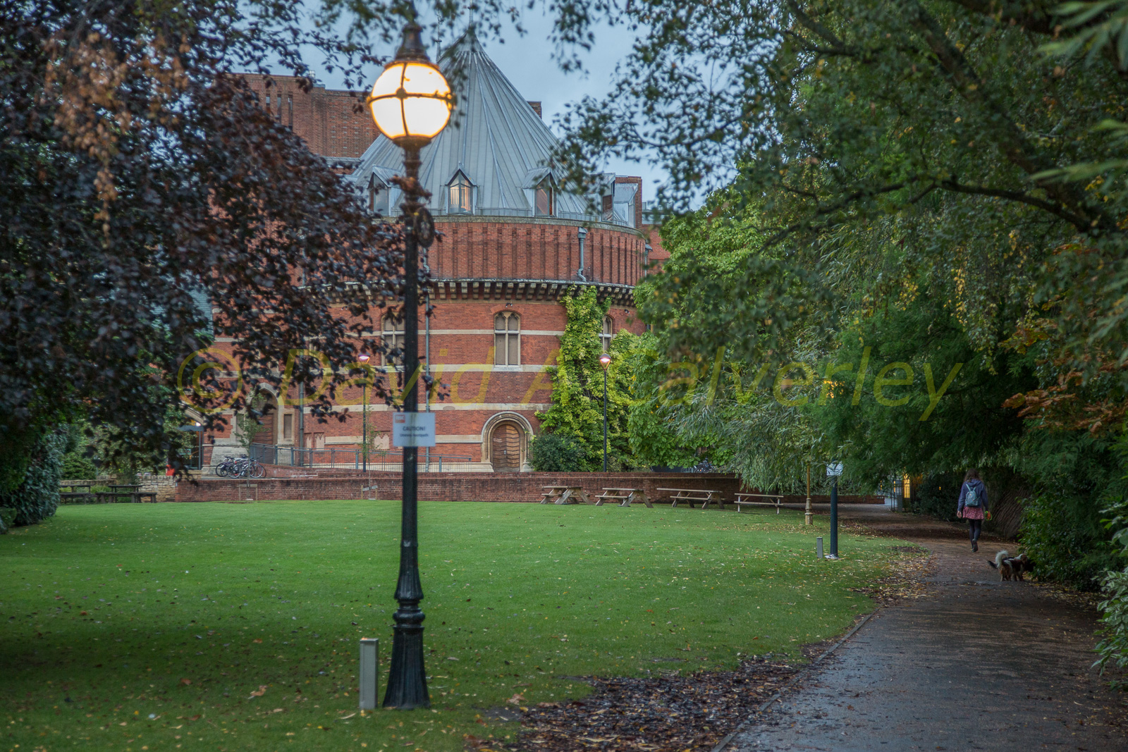 Stratford_Upon_Avon_Canal-3106.jpg