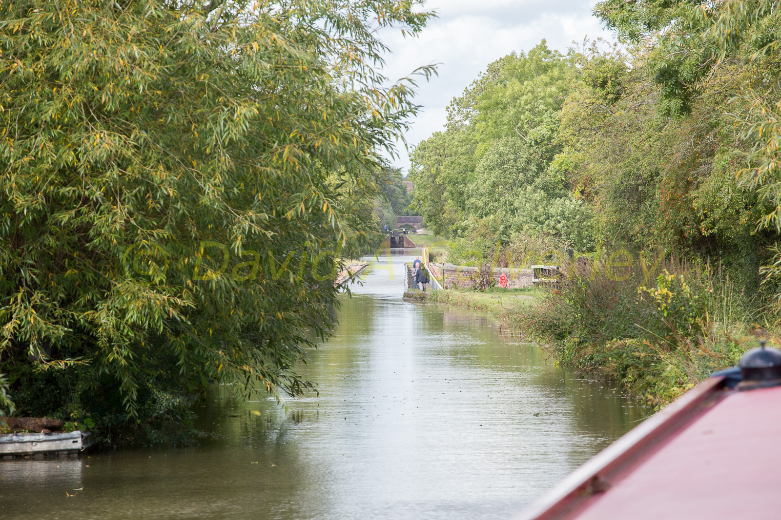 Stratford_Upon_Avon_Canal-3132.jpg