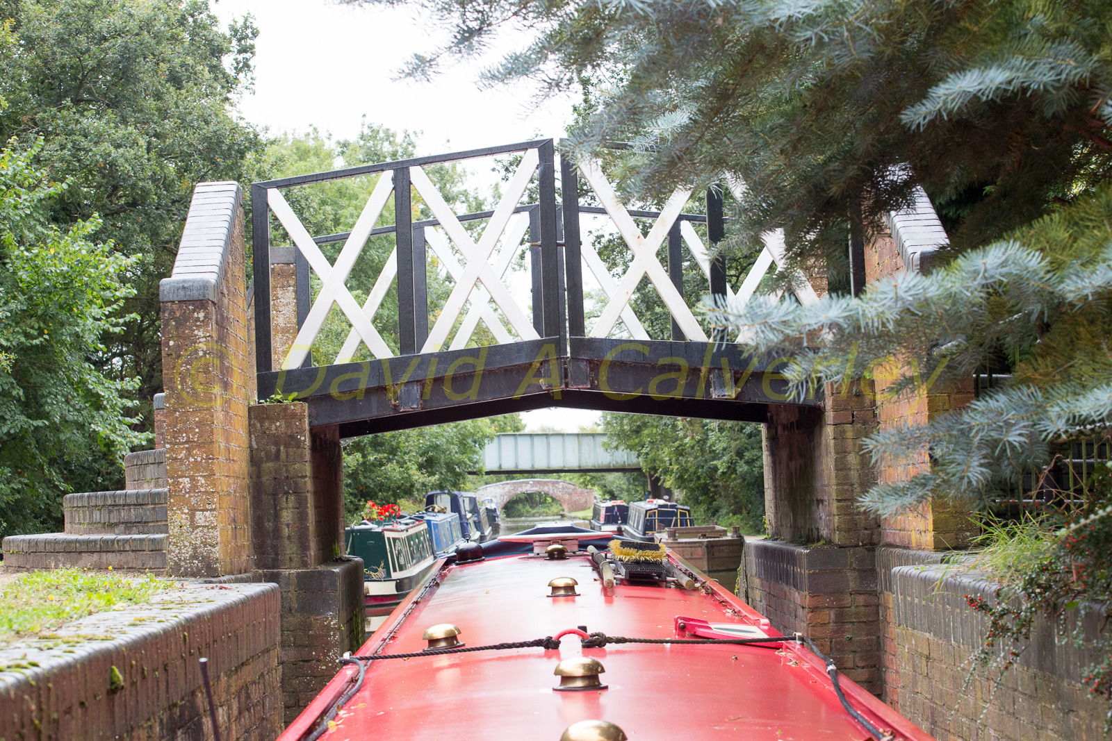 Stratford_Upon_Avon_Canal-3191.jpg