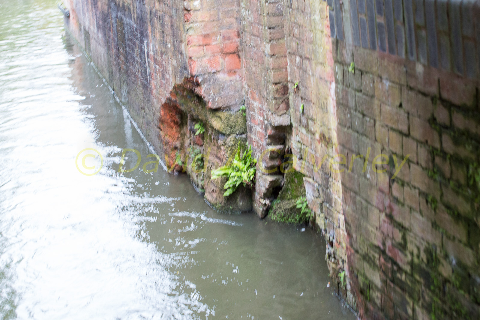 Stratford_Upon_Avon_Canal-3192.jpg