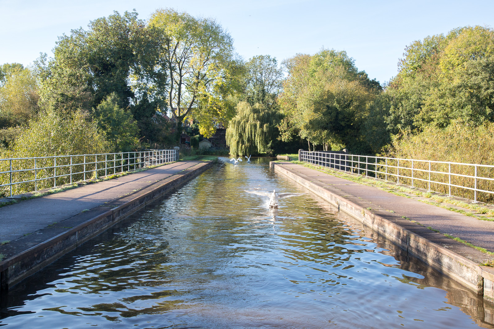 Trent_-_Mersey_Canal-3016.jpg