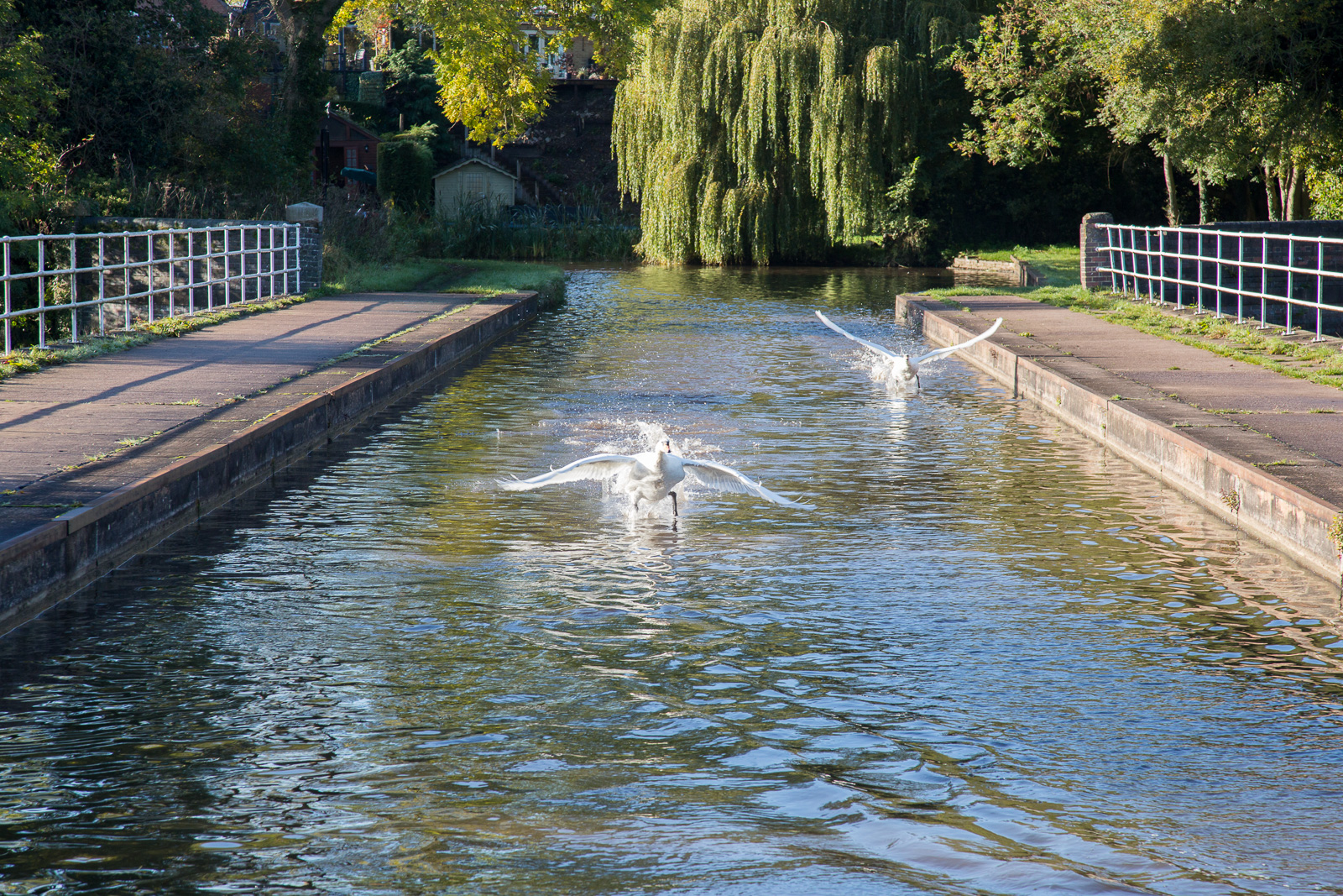 Trent_-_Mersey_Canal-3018.jpg