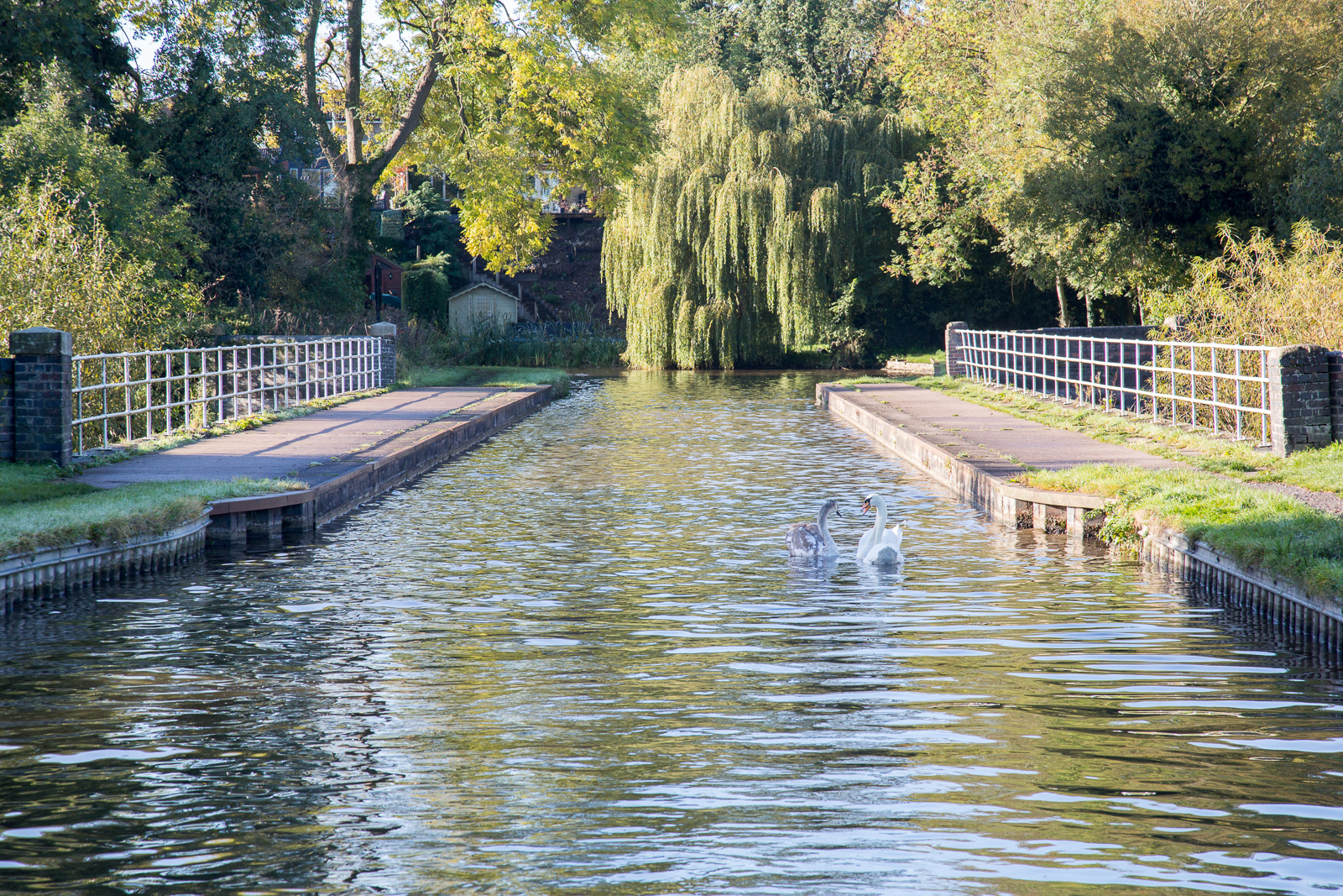 Trent_-_Mersey_Canal-3022.jpg