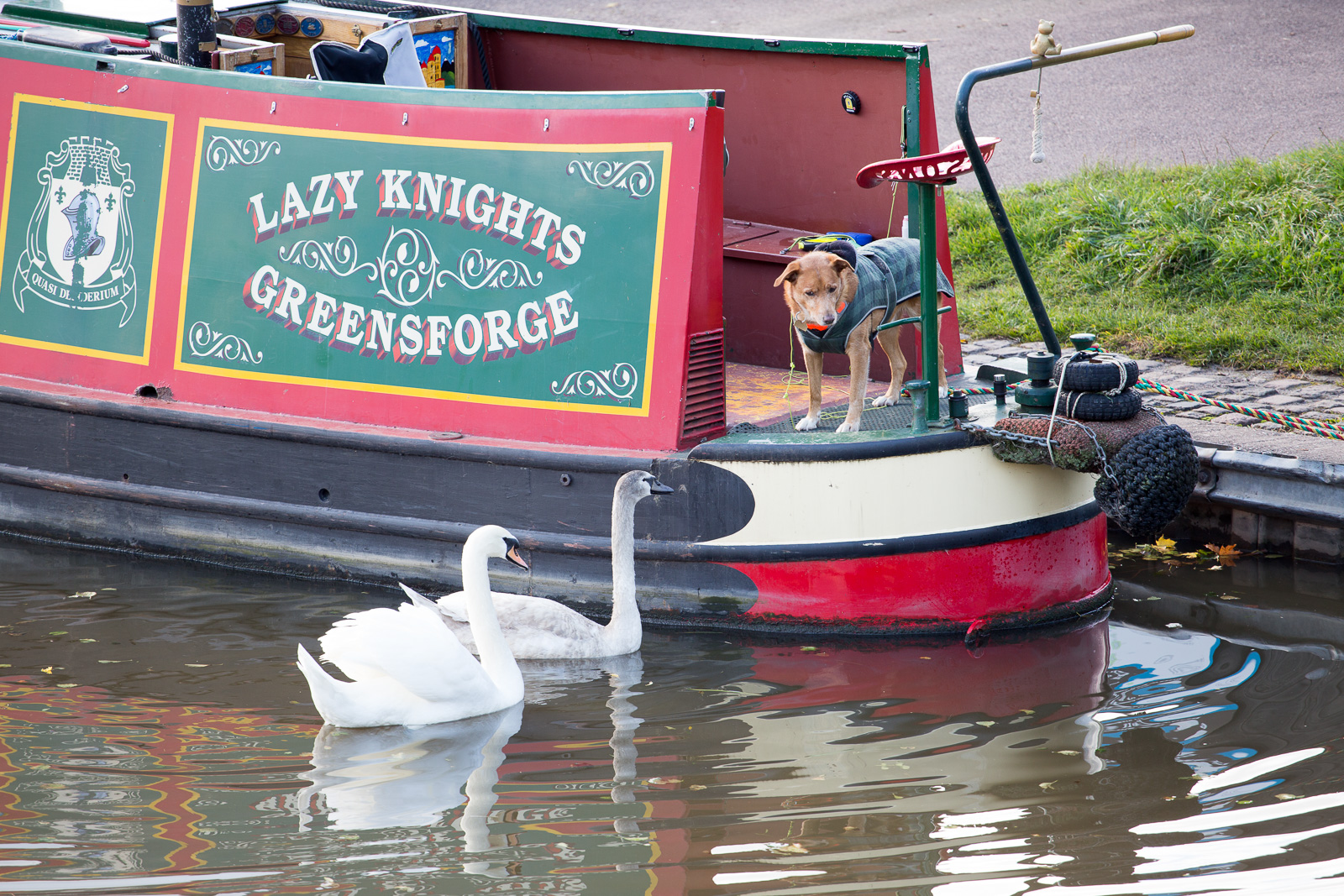 Trent_-_Mersey_Canal-3049.jpg