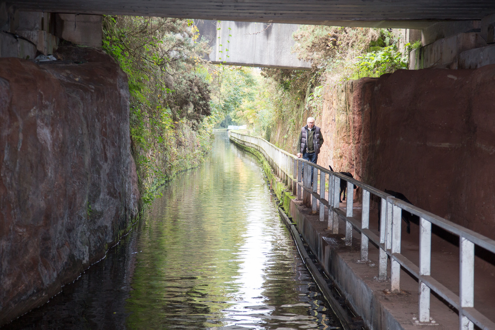Trent_-_Mersey_Canal-3076.jpg