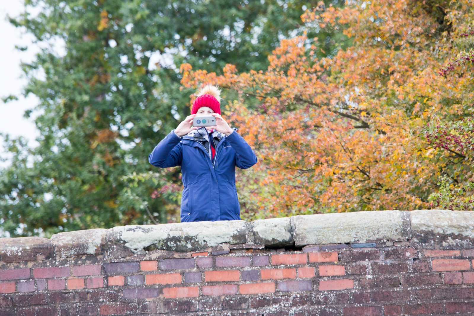Trent_-_Mersey_Canal-3100.jpg