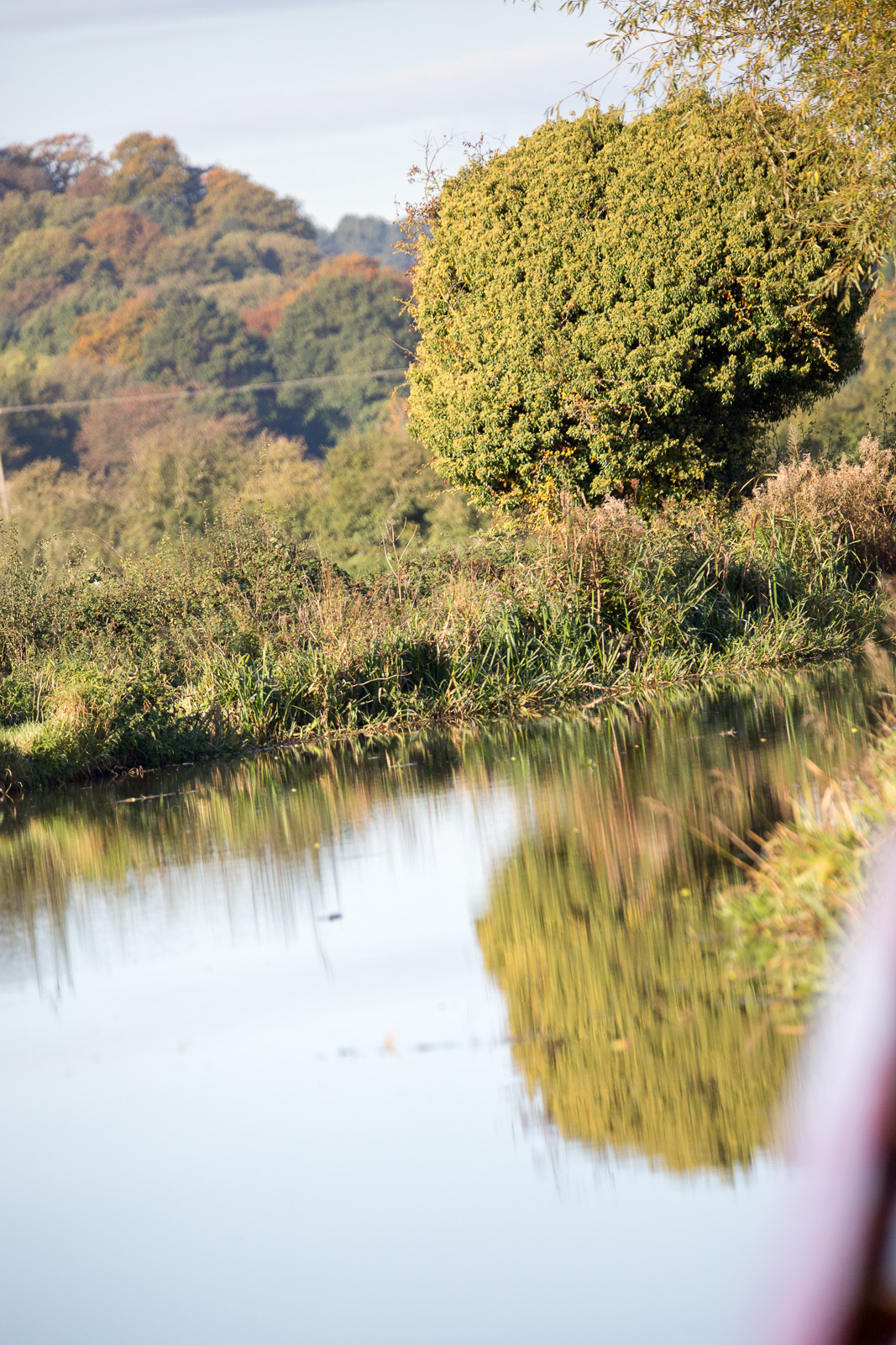 Trent_-_Mersey_Canal-3103.jpg