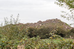 Coventry_Canal-3025.jpg