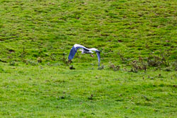 Coventry_Canal-3029.jpg
