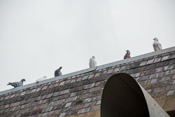Coventry_Canal-3034.jpg