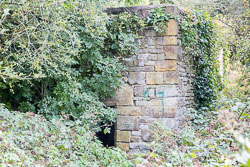 Coventry_Canal-3076.jpg