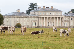 Shugborough_Hall-004.jpg
