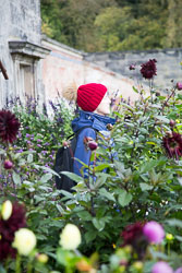 Shugborough_Hall-010.jpg