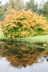 Shugborough_Hall-066.jpg