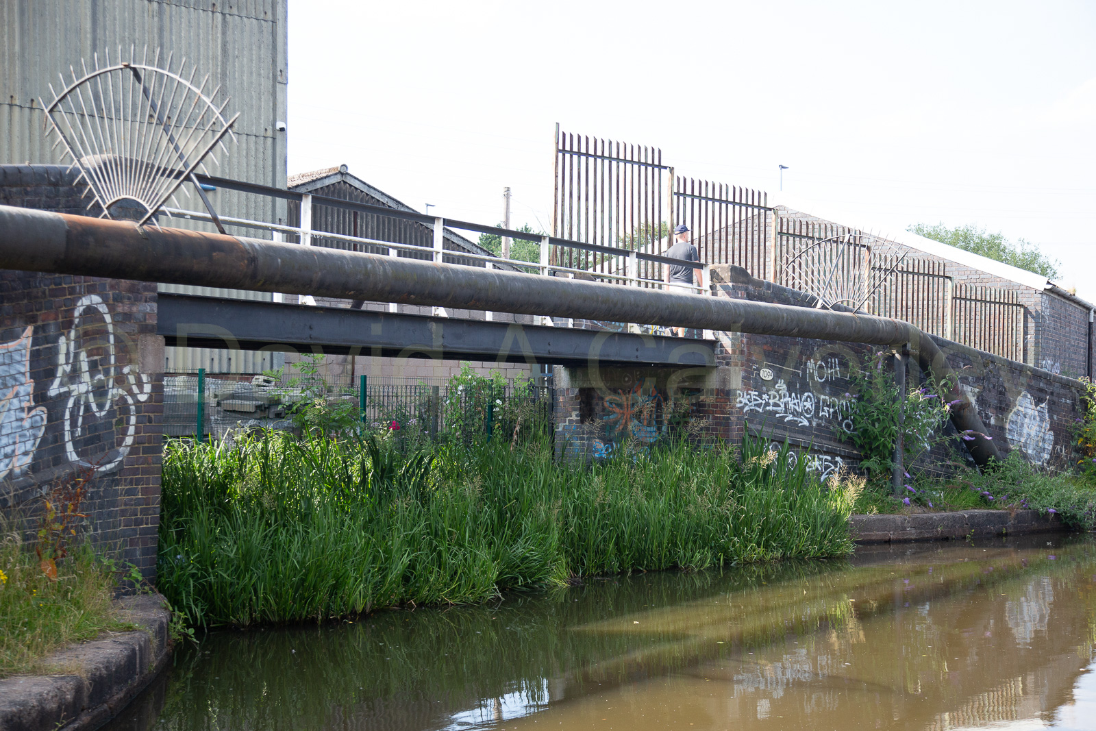Trent_-_Mersey_Canal-442.jpg