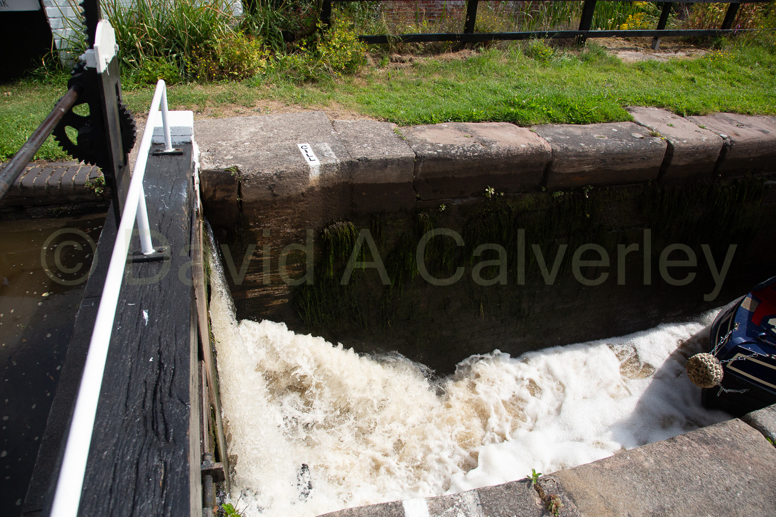 Trent_-_Mersey_Canal-448.jpg