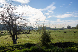 2025_Canal_Sep_T_and_M_S_and_W