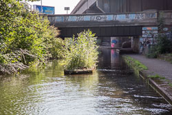 Tame_Valley_Canal-010.jpg