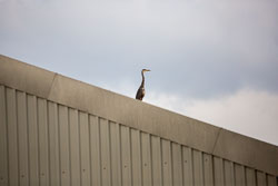 Tame_Valley_Canal-151.jpg