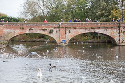 River_Avon_Stratford-Upon-Avon-023.jpg