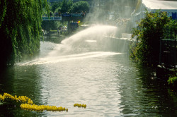 Huddersfield_Canals_Festivals,_1990s-180.jpg